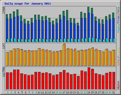 Daily usage for January 2011