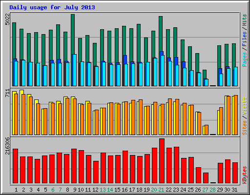 Daily usage for July 2013