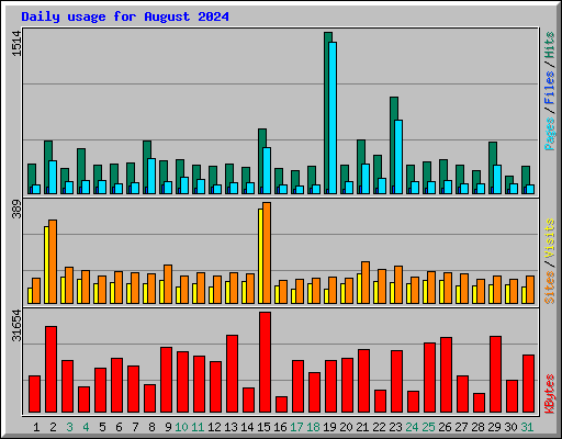 Daily usage for August 2024