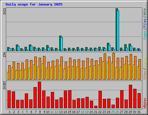 Daily usage for January 2025
