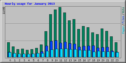 Hourly usage for January 2013