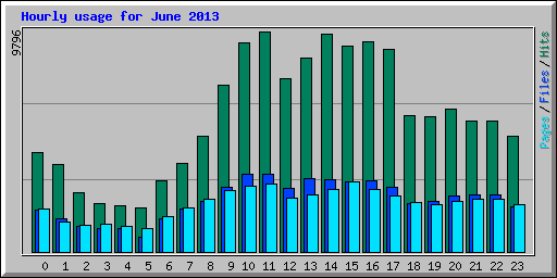 Hourly usage for June 2013