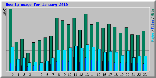 Hourly usage for January 2019