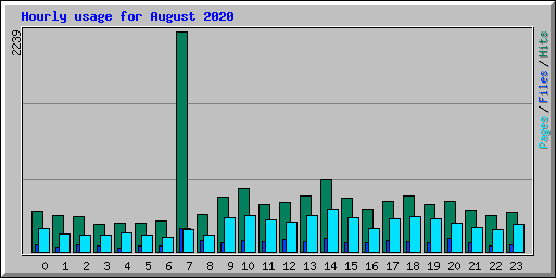 Hourly usage for August 2020