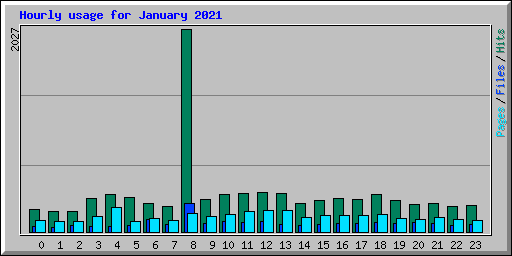 Hourly usage for January 2021