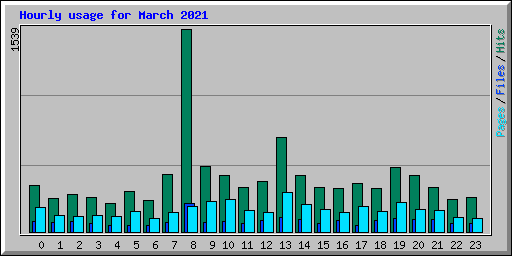 Hourly usage for March 2021