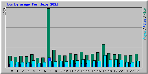 Hourly usage for July 2021