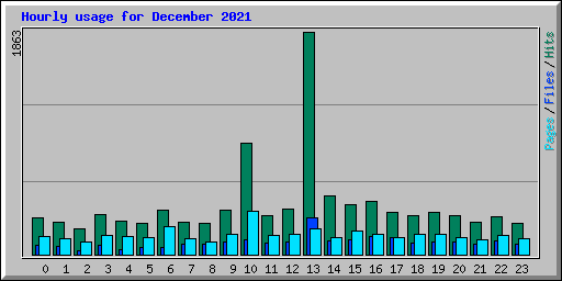 Hourly usage for December 2021
