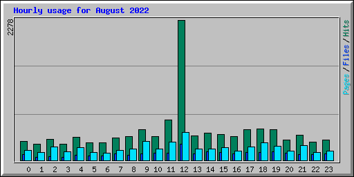 Hourly usage for August 2022