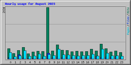 Hourly usage for August 2023