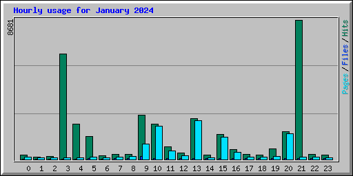 Hourly usage for January 2024