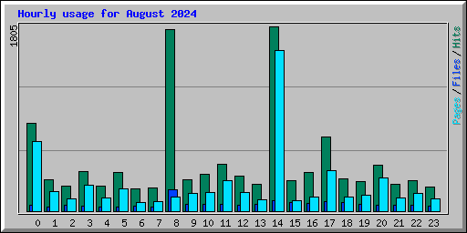 Hourly usage for August 2024