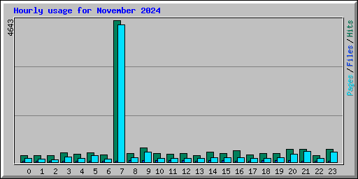 Hourly usage for November 2024
