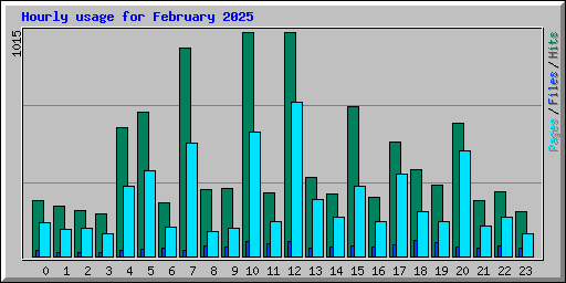 Hourly usage for February 2025